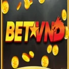 Betvnd109 live – Quà Giáng Sinh Nạp Đầu Nhận 188.000k