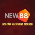 New88ae biz – Mưa Lì Xì Lên Đến 8.888 Chào Đón Năm Mới