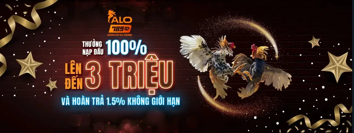 Trang chủ 789alohanoi.com